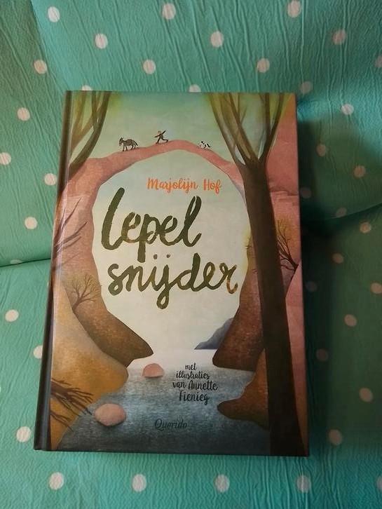 Marjolijn Hof - Lepelsnijder, Boeken, Kinderboeken | Jeugd | 10 tot 12 jaar, Zo goed als nieuw, Ophalen of Verzenden
