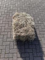 Onbemest hooi / hooibaaltjes, Dieren en Toebehoren, Ophalen, Vee