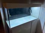 Juwel rio 180 + toebehoren, Dieren en Toebehoren, Ophalen, Gebruikt, Leeg aquarium