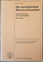 Europäische Meeresschnecken door Fritz Nordsieck, Ophalen of Verzenden, Gelezen, Overige onderwerpen, Fritz Nordsieck