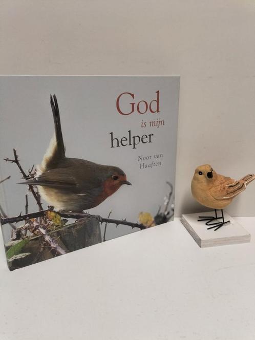 Haaften, Noor van ; God is mijn helper, Boeken, Godsdienst en Theologie, Gelezen, Christendom | Protestants, Ophalen of Verzenden