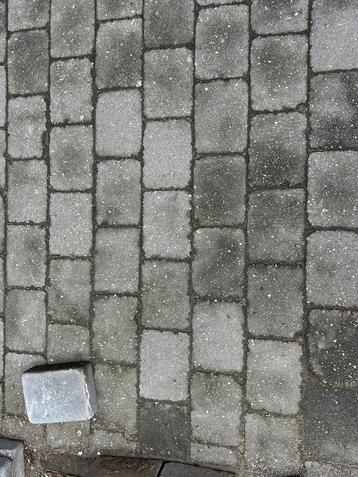 GRATIS ca 55m2 tuintegels (15x20x5,5) beschikbaar voor biedingen