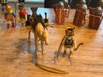 Playmobil kameel en piraten, Kinderen en Baby's, Speelgoed | Playmobil, Ophalen of Verzenden, Zo goed als nieuw