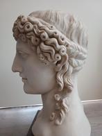Borstbeeld Apollo van Kassel, Antiek en Kunst, Kunst | Beelden en Houtsnijwerken, Ophalen