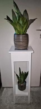 Witte plantentafel met glasplaatje, Huis en Inrichting, Tafels | Bijzettafels, 60 cm of meer, Zo goed als nieuw, Hout, Ophalen