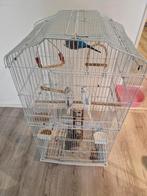 3 parkieten met mooie kooi, Dieren en Toebehoren, Vogels | Hokken en Kooien, Ophalen, Zo goed als nieuw, Metaal, Vogelkooi