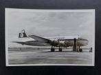 Foto van een Transportflug DC-4 (LU67), Ophalen of Verzenden, Gebruikt, Kaart, Foto of Prent