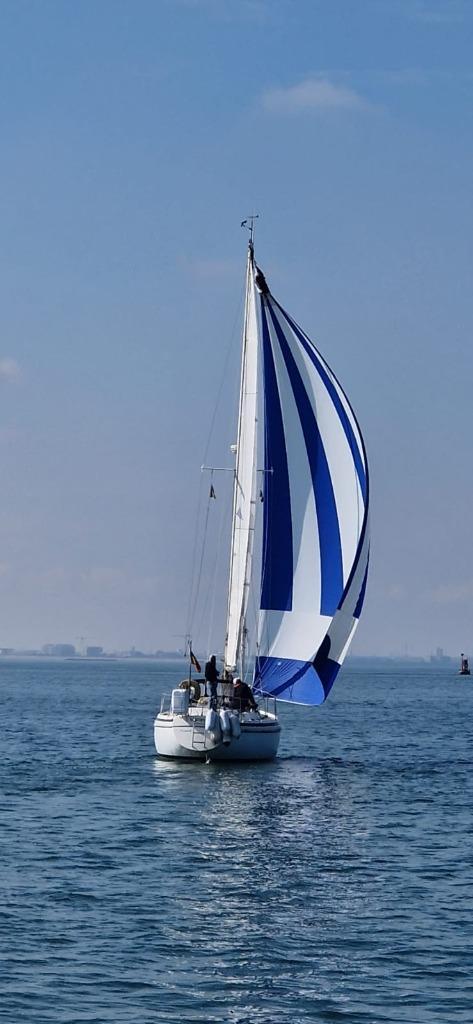 Contest zeilboot 36 CS te koop, Watersport en Boten, Kajuitzeilboten en Zeiljachten, Gebruikt, Tourjacht of Cruiser, Polyester