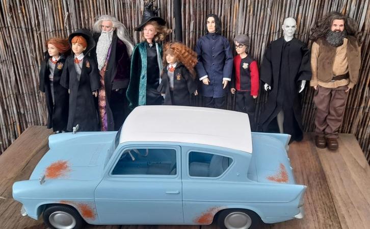 Grote set Harry potter poppen mattel en auto., Verzamelen, Poppen, Gebruikt, Pop, Ophalen of Verzenden
