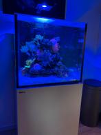 Red Sea Reefer XL 200 G1, Dieren en Toebehoren, Vissen | Aquaria en Toebehoren, Ophalen, Gebruikt, Leeg aquarium