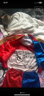 Harley Quinn kostuum + pruik (nog perfecte staat), Kleding | Dames, Ophalen of Verzenden, Zo goed als nieuw, Maat 38/40 (M), Halloween
