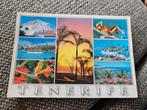 Bloot souvenir kaart tenerife, Ophalen of Verzenden, Voor 1920, Overige thema's