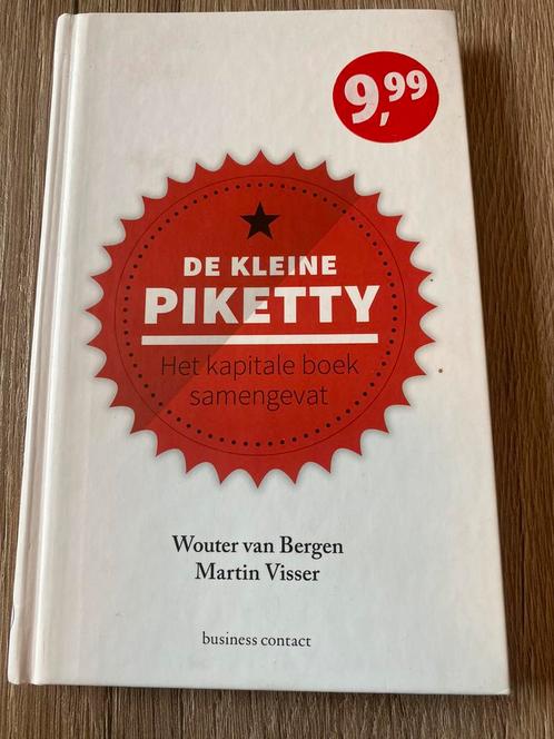 Martin Visser - De kleine Piketty, Boeken, Wetenschap, Zo goed als nieuw, Ophalen of Verzenden