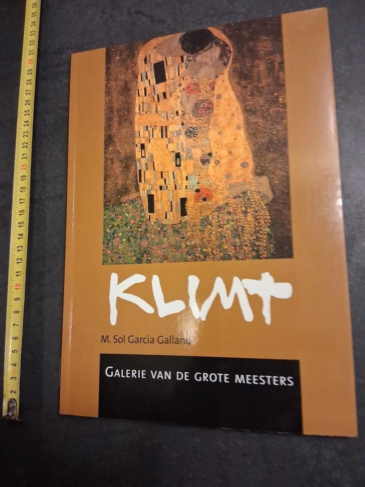 Oostenrijkse schilder Gustav Klimt - Jugendstil / Secession, Boeken, Kunst en Cultuur | Beeldend, Zo goed als nieuw, Schilder- en Tekenkunst