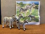 playmobil twee zebra’s met baby 70356, Ophalen of Verzenden, Gebruikt, Complete set