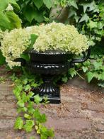 landelijke bloempot , bloemvaas , aanbieding, Minder dan 30 cm, Minder dan 60 cm, Ophalen of Verzenden, Atw