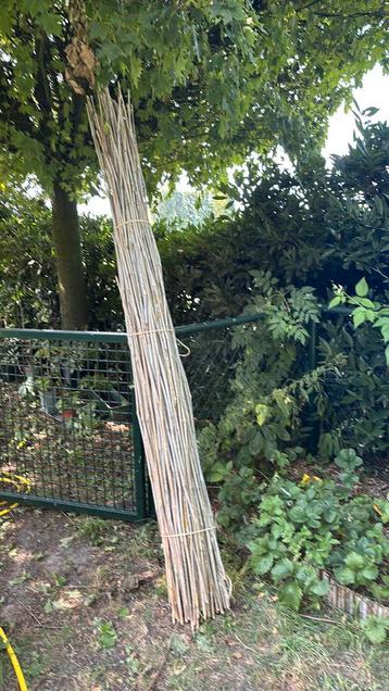 Bamboe stokken tot 2.50 mtr beschikbaar voor biedingen