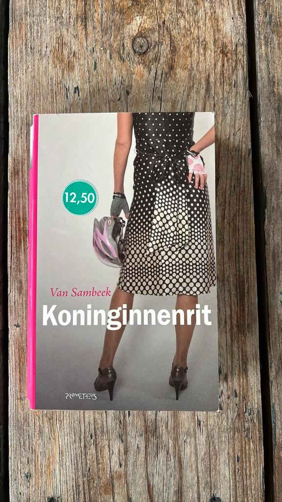 van Sambeek - Koninginnenrit, Boeken, Literatuur, Gelezen, Nederland, Ophalen of Verzenden