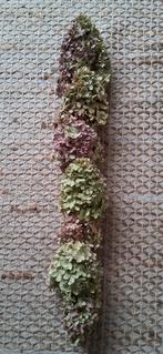 Herfsthanger Oud Hout met Hortensia's, Huis en Inrichting, Woonaccessoires | Droogbloemen, Ophalen of Verzenden