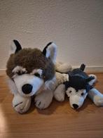 Twee schattige husky knuffels, Ophalen of Verzenden, Zo goed als nieuw, Hond