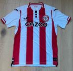 Brentford voetbalshirt, Ophalen of Verzenden, Zo goed als nieuw, Shirt