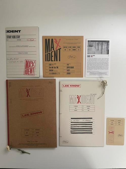 Straykids Maxident case ver. Lee Know, Boeken, Taal | Overige Talen, Zo goed als nieuw, Ophalen of Verzenden