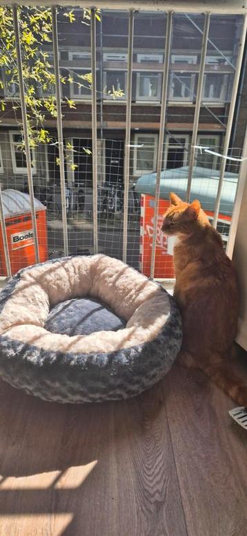 Ongebruikte kattenmandje beschikbaar voor biedingen
