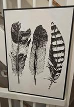 Doek met veren print 70x50cm, Ophalen, 50 tot 75 cm, Nieuw, Schilderij