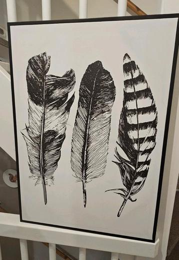 Doek met veren print 70x50cm beschikbaar voor biedingen
