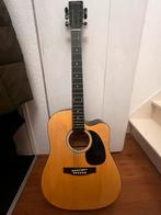 Accoustic electric with case, Muziek en Instrumenten, Behuizingen en Koffers, Ophalen of Verzenden