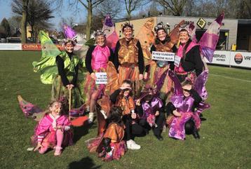 Vlinders beschikbaar voor biedingen