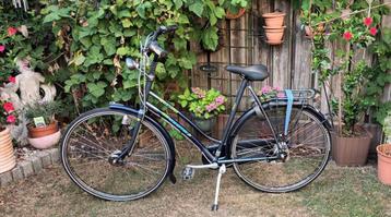 Gazelle Trendy 61  beschikbaar voor biedingen