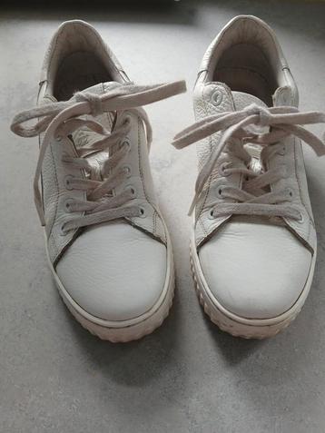 Sacha sneakers,aat 38 beschikbaar voor biedingen