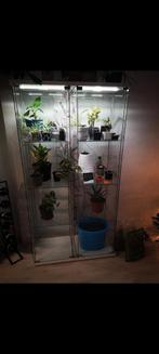 Ikea Detolf Vitrinekast / Greenhouse, Ophalen, Minder dan 50 cm, Met deur(en), Zo goed als nieuw