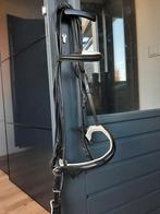 Stang en trens hoofdstel, Ophalen of Verzenden, Gebruikt, Dressuur