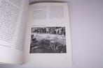 Villa Cruoninga — Archeologie van Groningen [1988], Ophalen of Verzenden, Gelezen