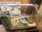 Juwel aquarium, Ophalen, Gebruikt, Leeg aquarium