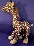 Giraffe - Born in Africa - H. 22cm - collector's item, Ophalen, Nieuw, Overige typen