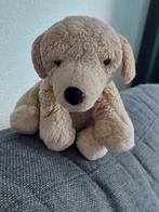 Schattige Knuffelhond - anna club plushe, Kinderen en Baby's, Speelgoed | Knuffels en Pluche, Ophalen of Verzenden, Hond