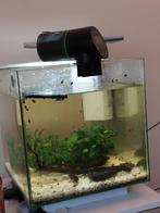 Aquarlium Superfish Qubiq 30 liter + vissen, Ophalen, Gebruikt, Gevuld zoetwateraquarium