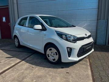 Kia Picanto 1.2 Cvvt 67pk 5D 2020 Wit |Cruise|Carplay|Camera beschikbaar voor biedingen