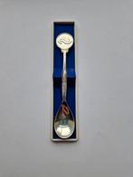 NS Verzilverde Theelepel, Ophalen of Verzenden