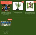 Actie: Aquarium of decoratie kunstplanten, ., Plant(en), Steen of Hout, Nieuw, Ophalen of Verzenden