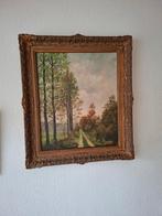 Schilderij Willy Krake Almelo Vasse, Antiek en Kunst, Ophalen