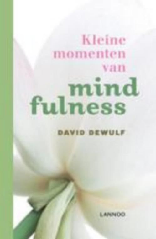 de kleine momenten van minfdulnees david dewulf NIEUW, Boeken, Esoterie en Spiritualiteit, Nieuw, Ophalen of Verzenden