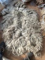 Geschoren wol - Diverse rassen - Spinnen/Vilten, Ophalen, Nieuw