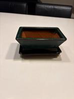 Bonsai bakje met schaal groen, Ophalen of Verzenden