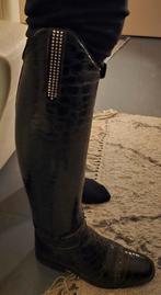 De niro croco lak 39, Dieren en Toebehoren, Ophalen of Verzenden, Dressuur, Schoeisel