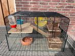 Mooie glazen hamsterkooi met toebehoren, Dieren en Toebehoren, Knaagdieren en Konijnen | Hokken en Kooien, Kooi, Minder dan 75 cm