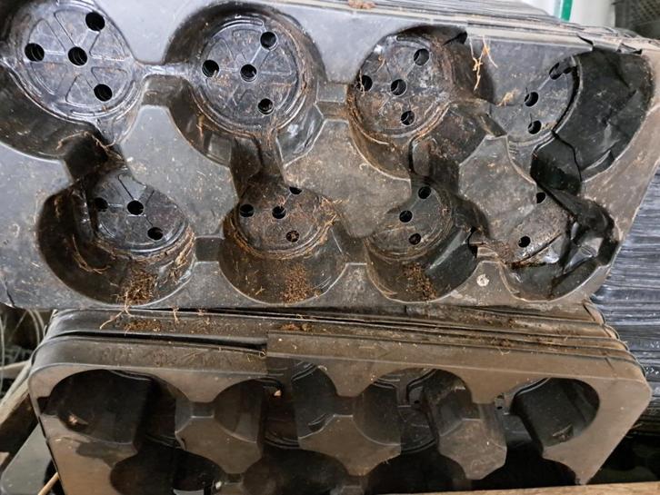 Gratis af te halen heel veel plantentrays diverse, Tuin en Terras, Bloempotten, Gebruikt, Kunststof, Binnen, Balkon, Tuin, Minder dan 40 cm